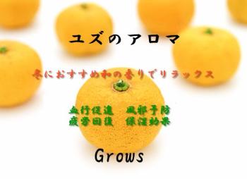柚子のアロマ  - 549x399 59.4kb