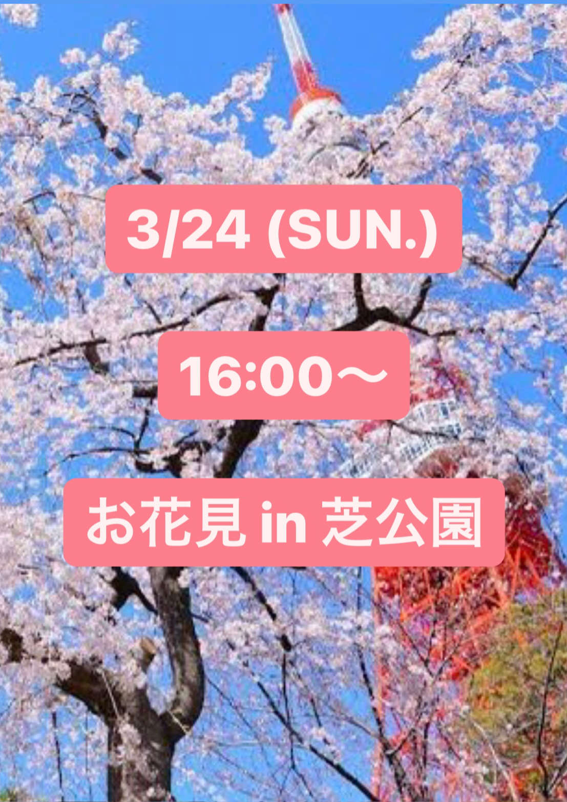 桜を見る会 in 芝公園