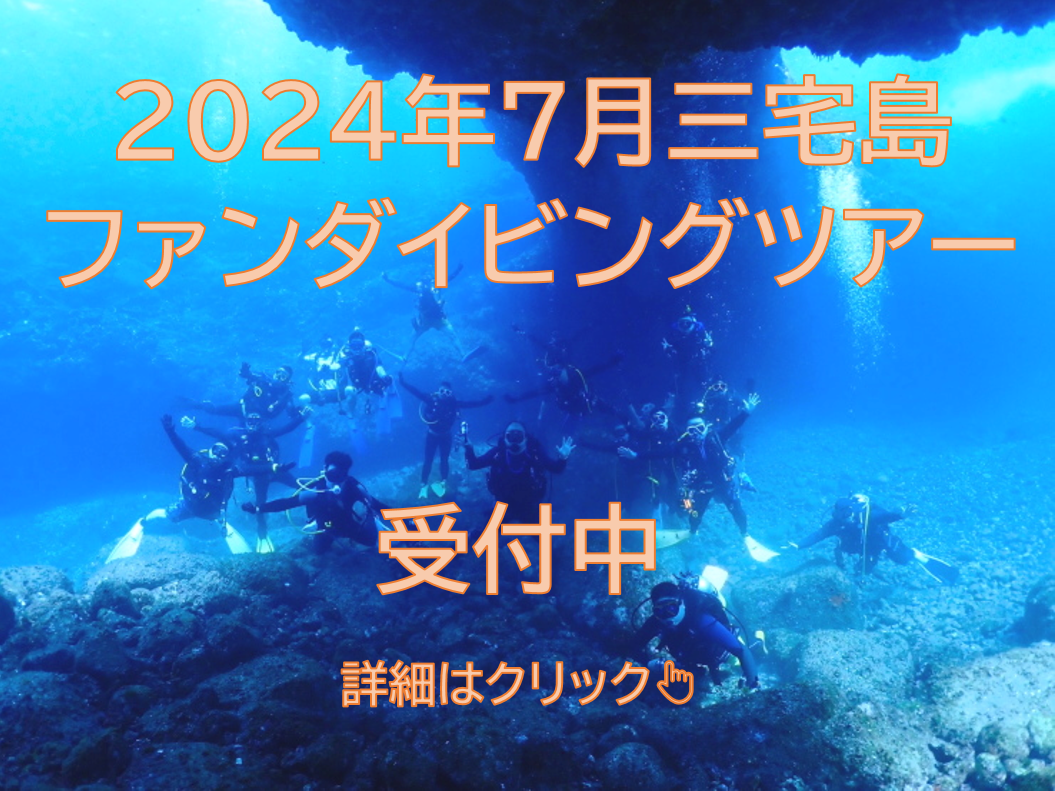 夏の三宅島ファンダイビングツアー2024