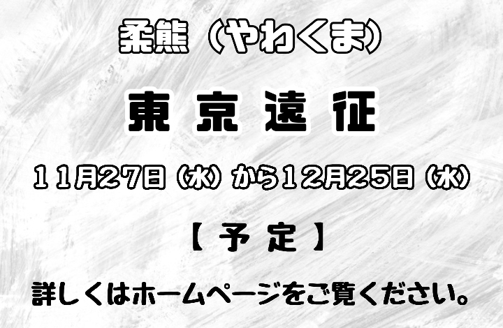 【東京遠征】11/27(水)〜12/25(水)予定