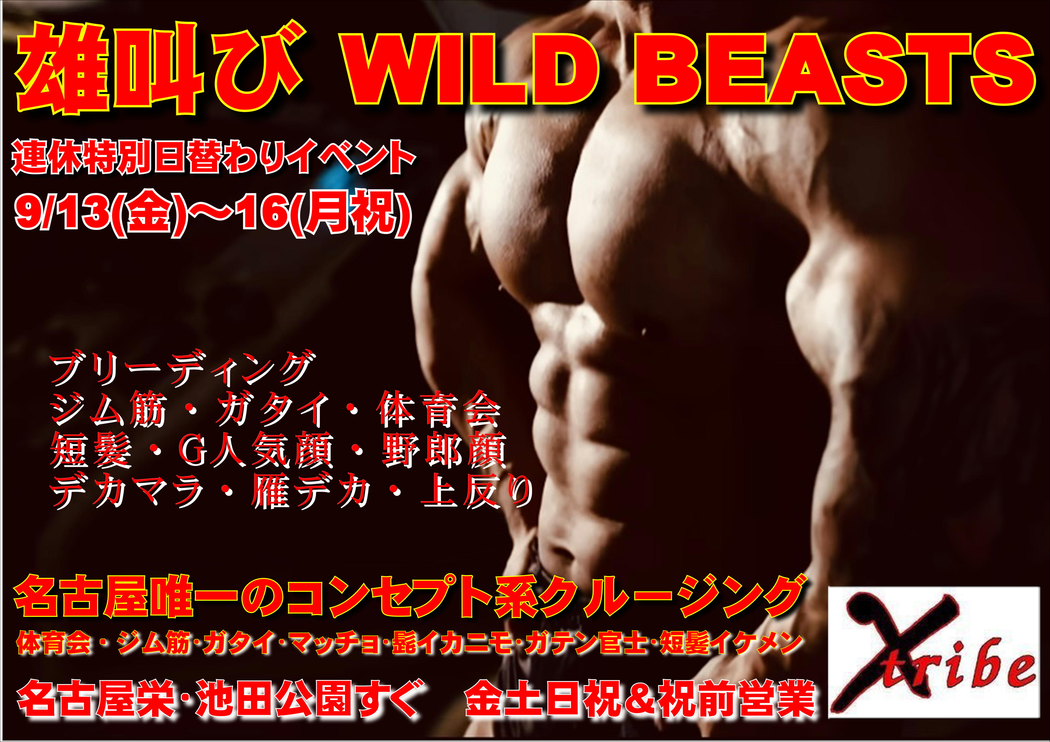 雄叫びWILD BEASTS 3days