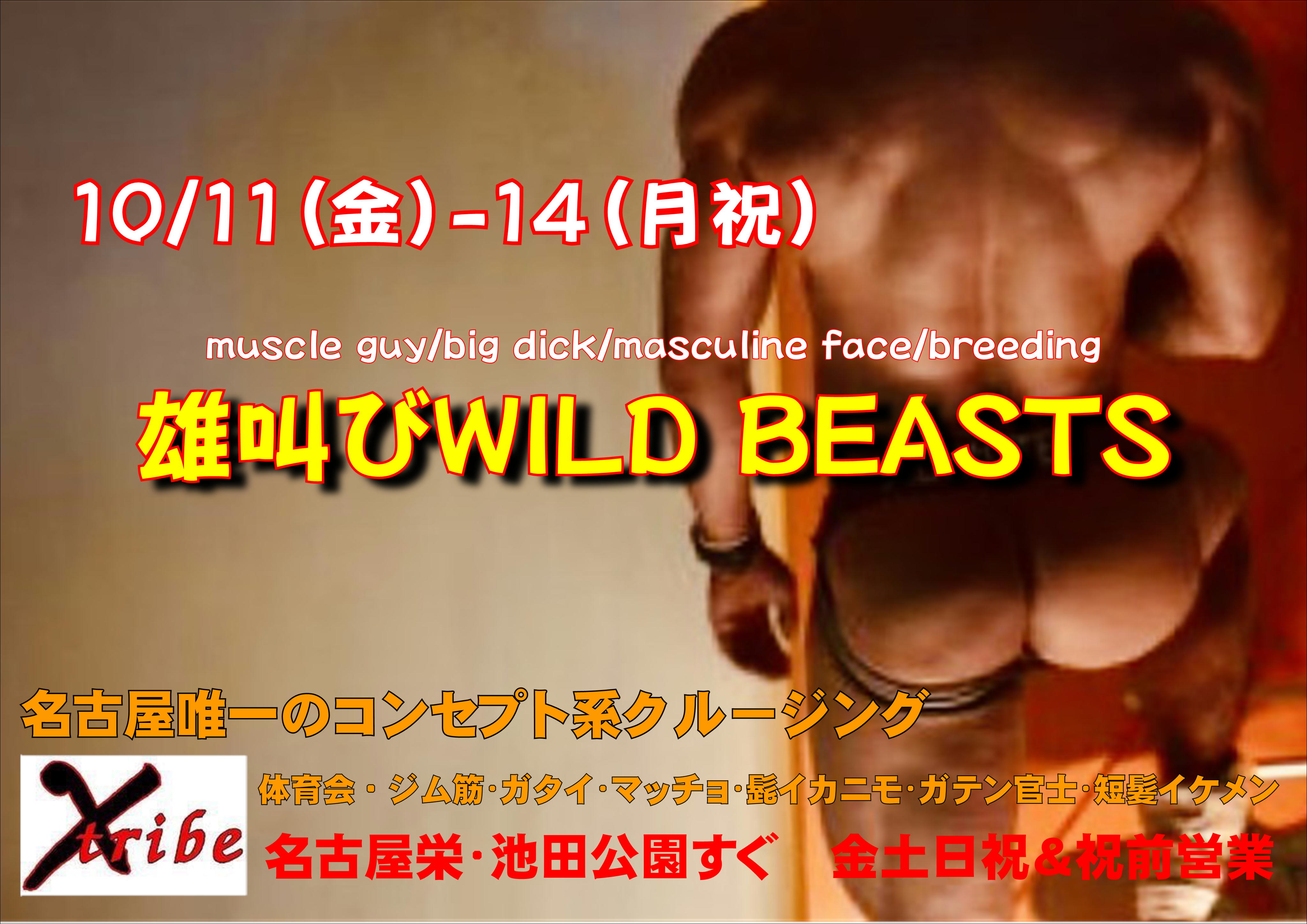 雄叫びWILD BEASTS 3days