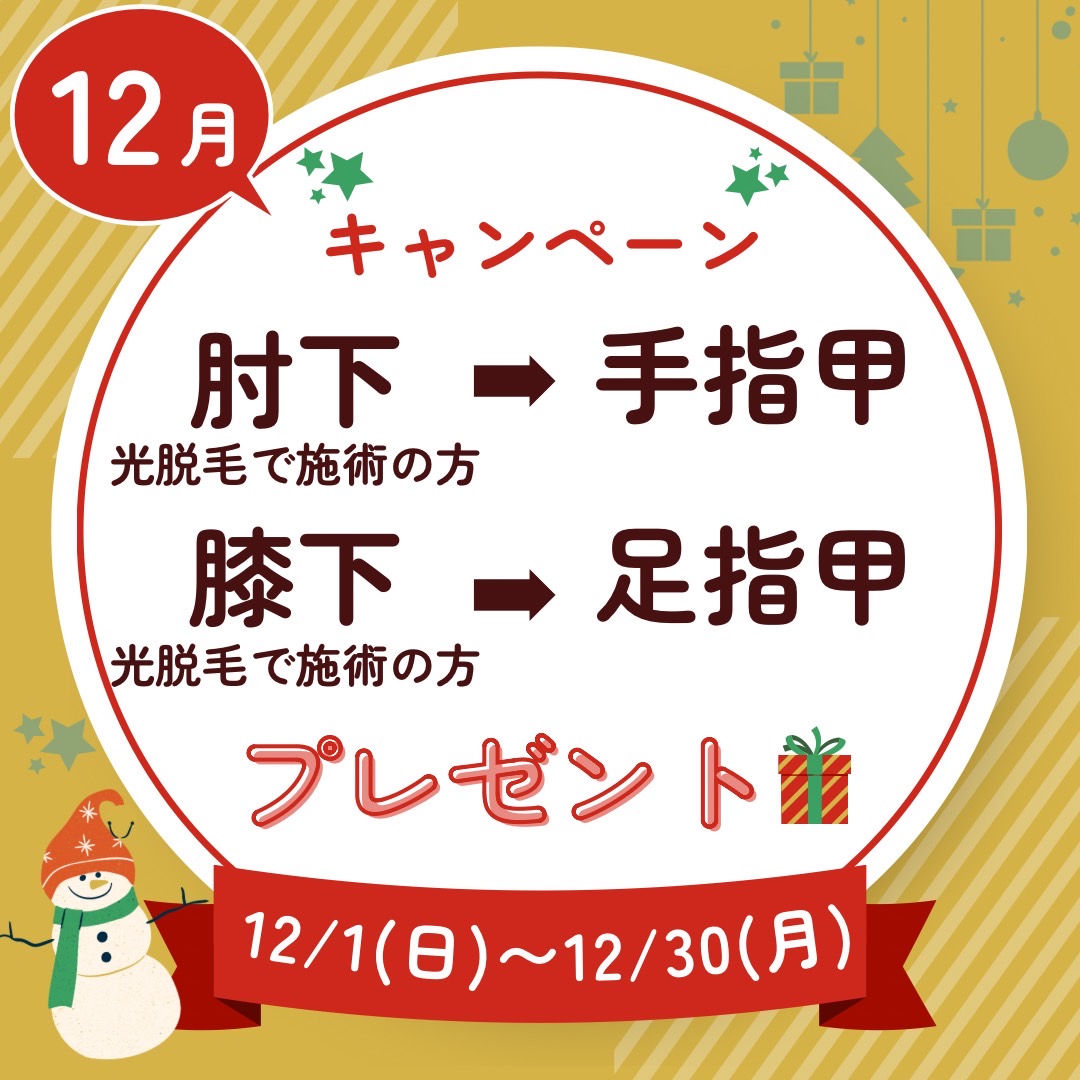 【12月のキャンペーン】