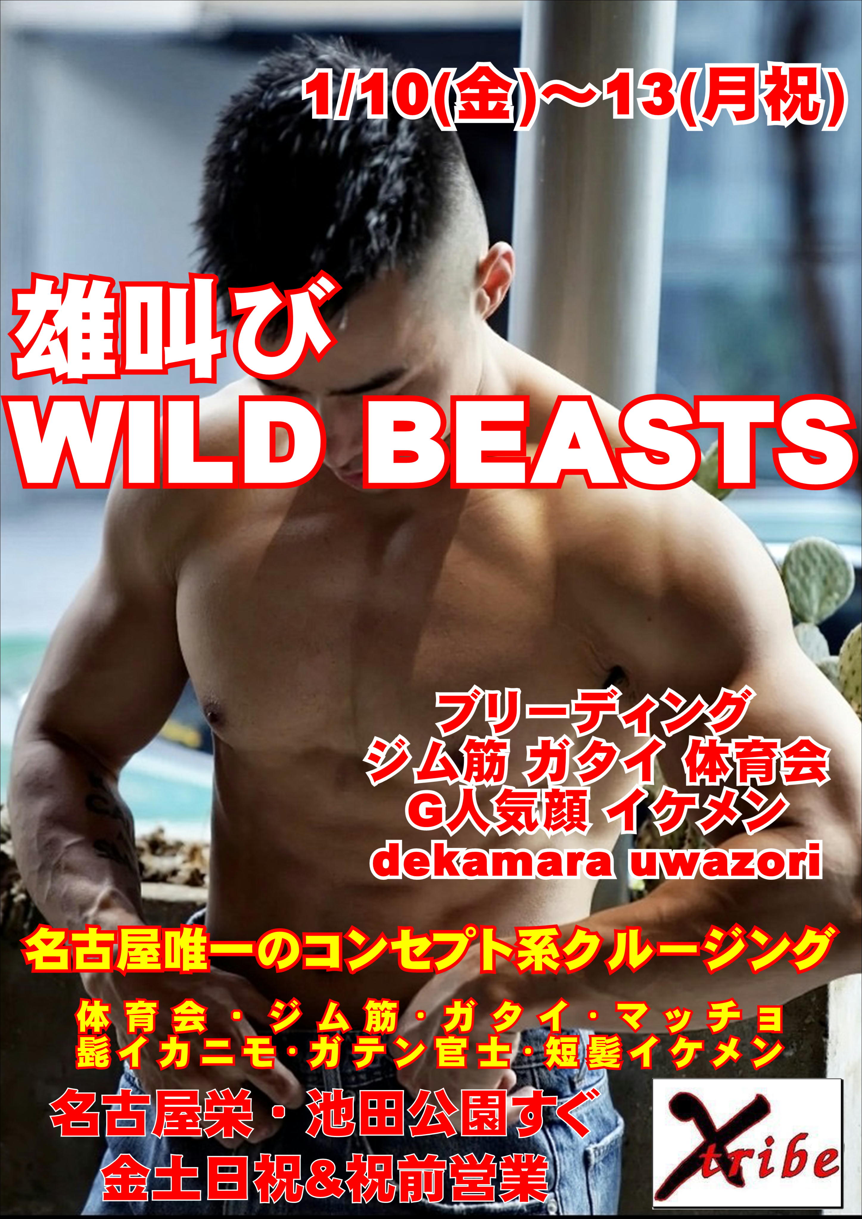 雄叫びWILD BEASTS 4days