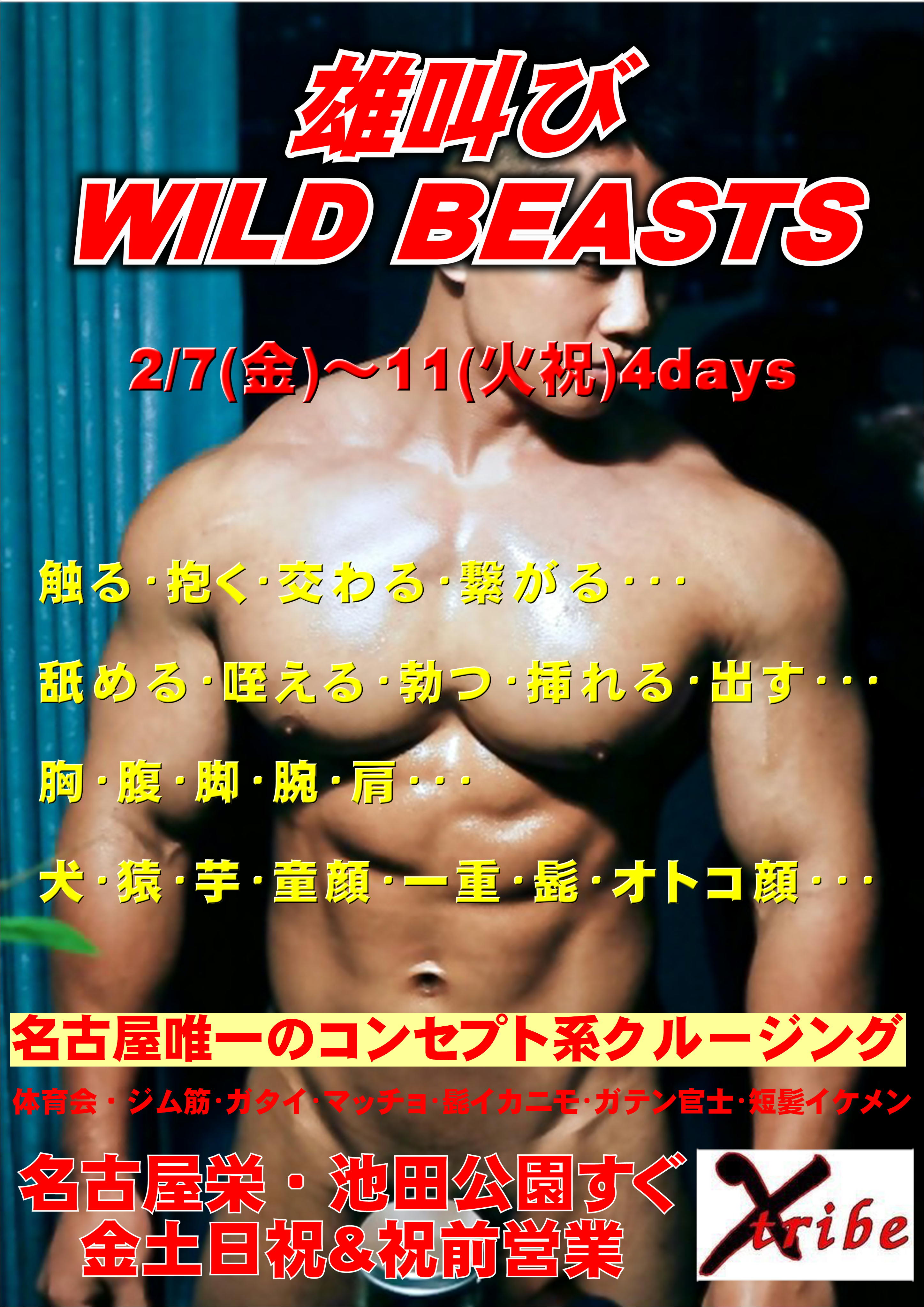 飛び石連休ですが雄叫びWILD BEASTS