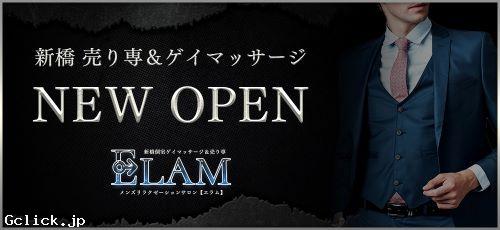 新橋 個室ゲイマッサージ＆売り専 Elam - 東京都 新橋 出張　売り専  - エラム